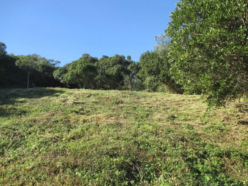 0 Bedroom Property for Sale in Mossel Bay Rural Western Cape